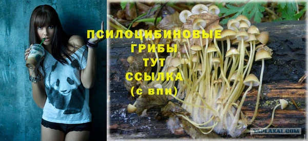МДПВ Аркадак