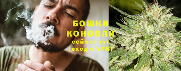 ПСИЛОЦИБИНОВЫЕ ГРИБЫ Баксан