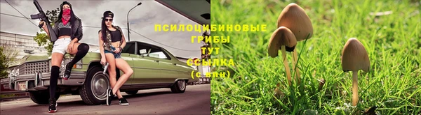 СК Арсеньев