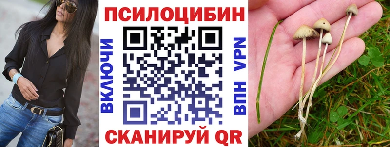 Псилоцибиновые грибы Psilocybe  что такое наркотик  Пыть-Ях 
